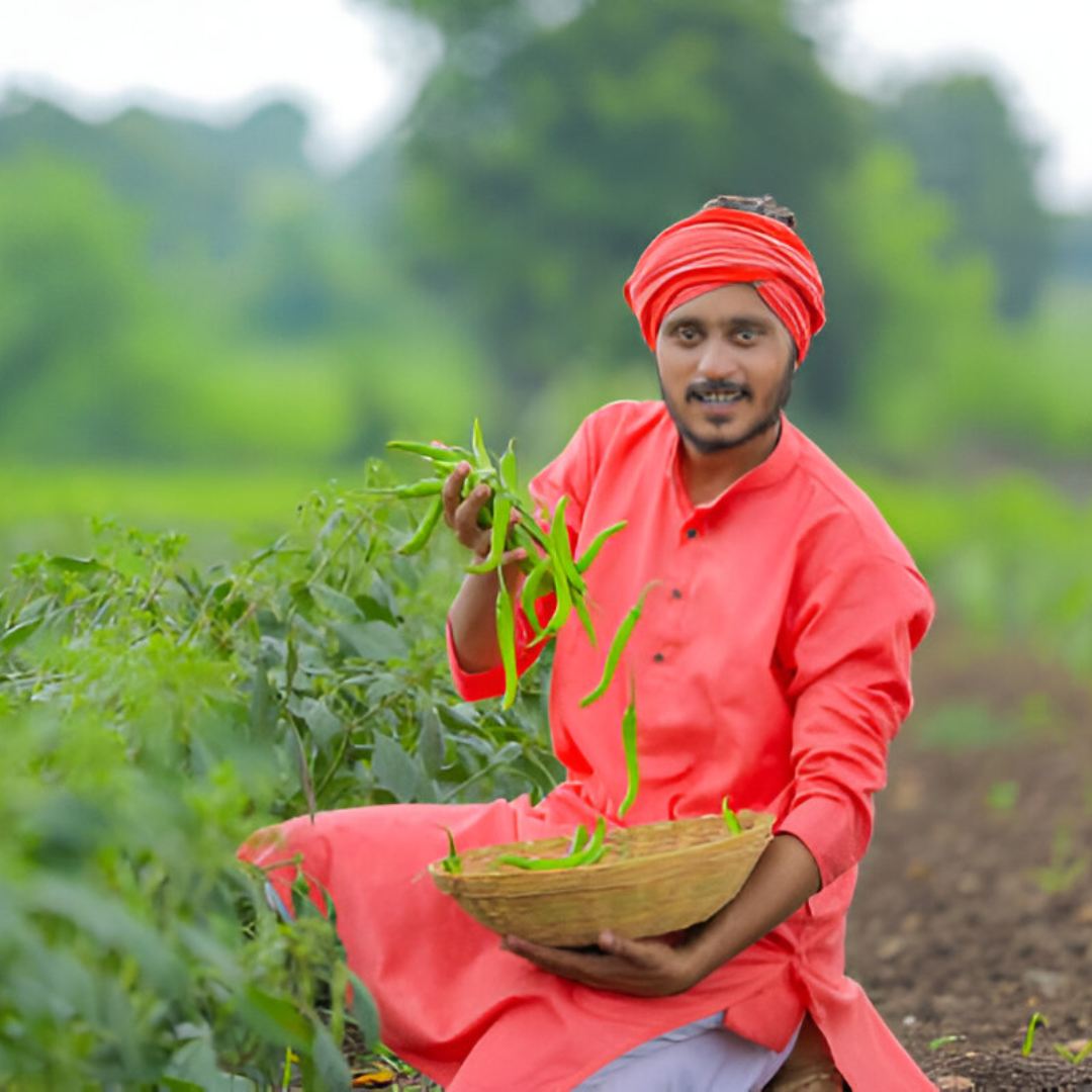 Fortune%20Seeds%20Ahmedabad