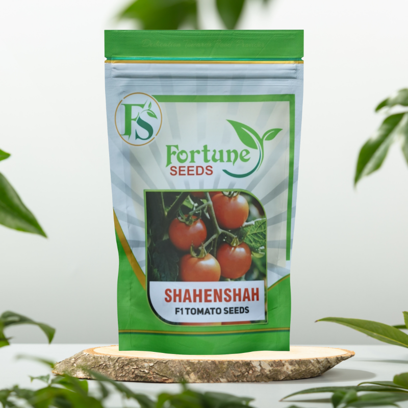 Fortune Seeds Ahmedabad