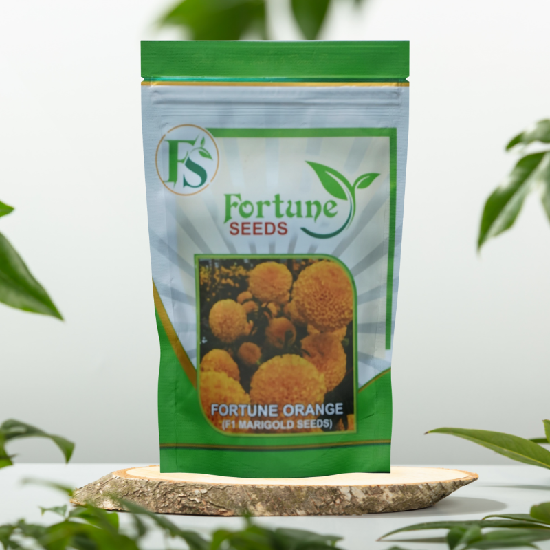 Fortune Seeds Ahmedabad