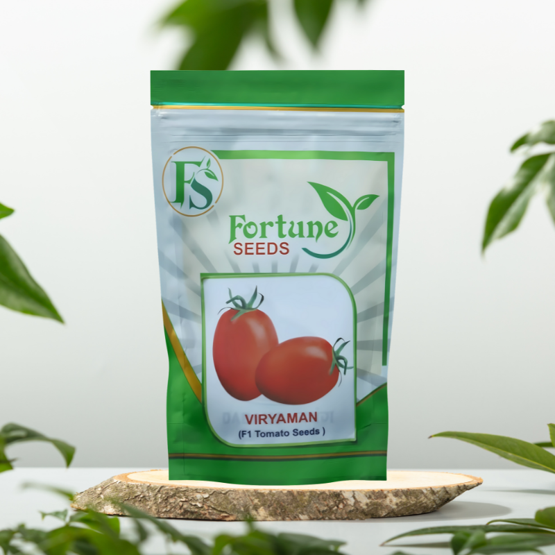 Fortune Seeds Ahmedabad