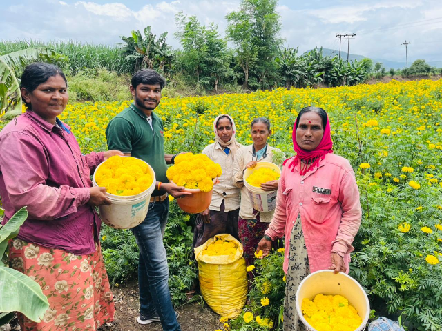 Fortune%20Seeds%20Ahmedabad