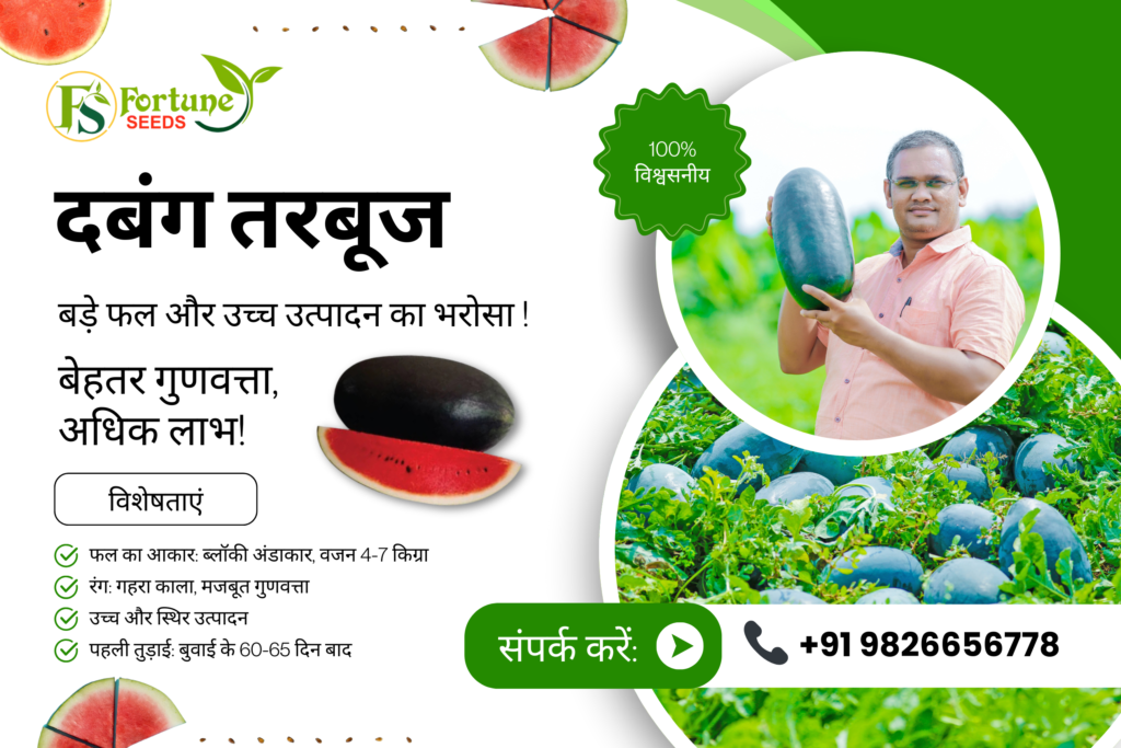 Dabang Watermelon - White banner PNG