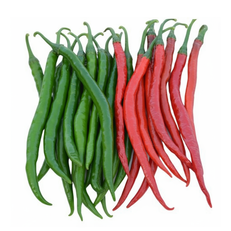 Fortune Seeds Ahmedabad